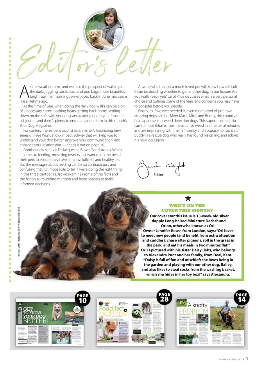 Your Dog Preview Pages