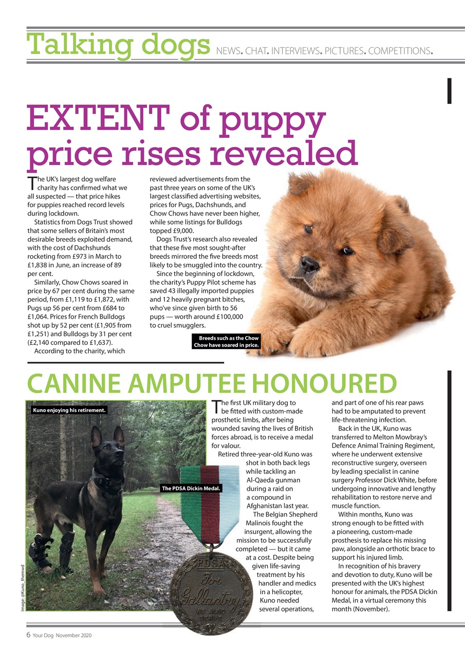 Your Dog Preview Pages