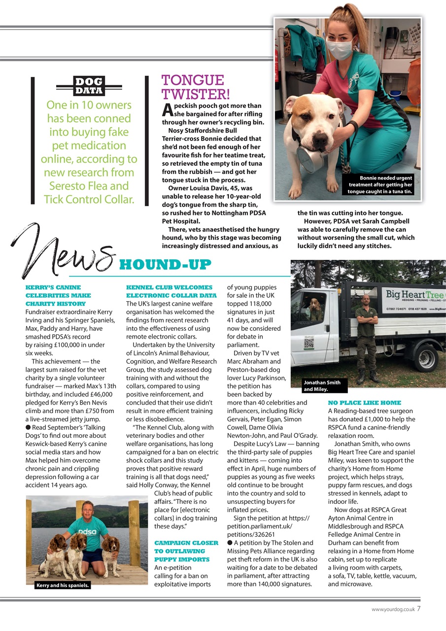 Your Dog Preview Pages