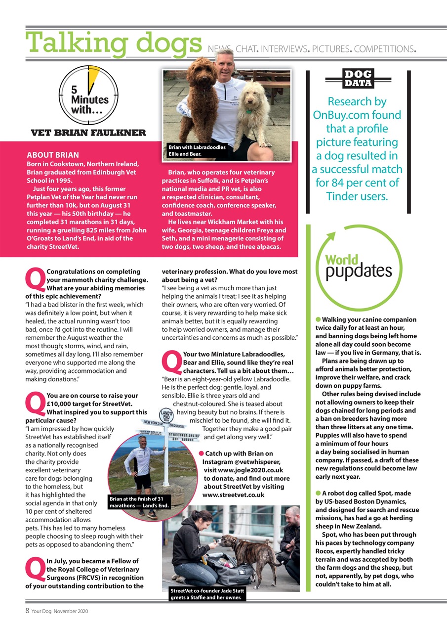 Your Dog Preview Pages