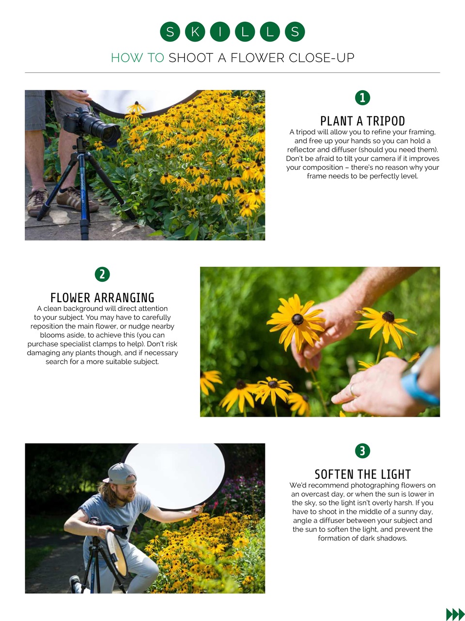 Photography Week Preview Pages