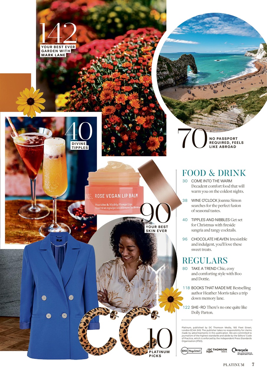 Platinum Preview Pages