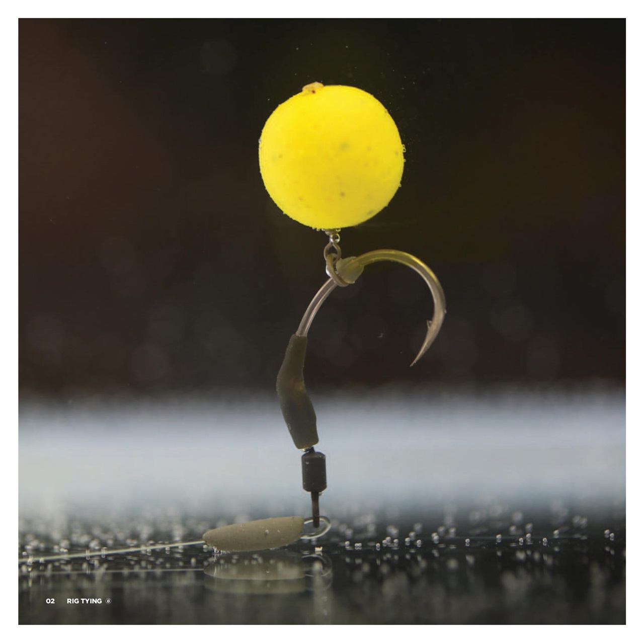 CARPology Magazine Preview Pages