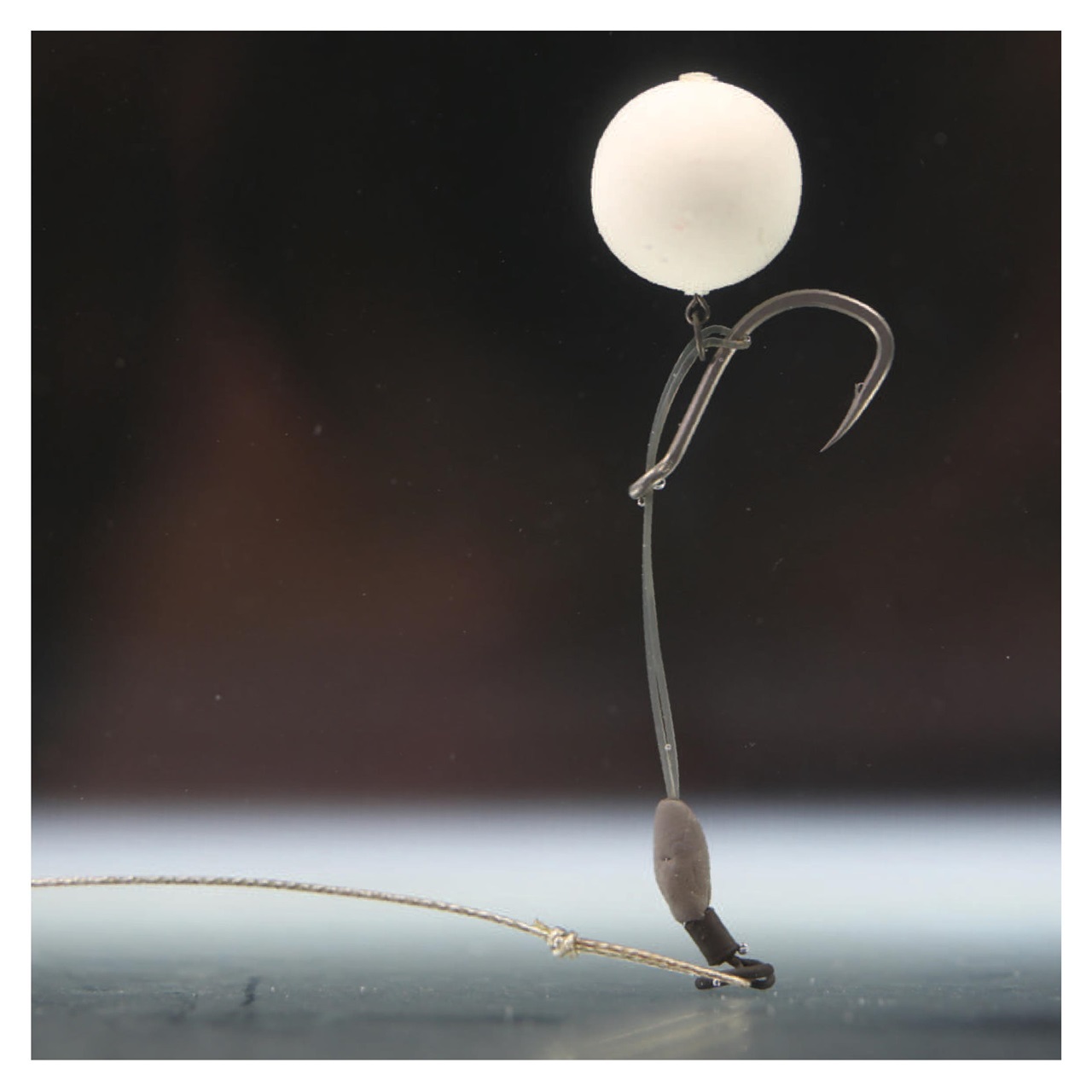 CARPology Magazine Preview Pages