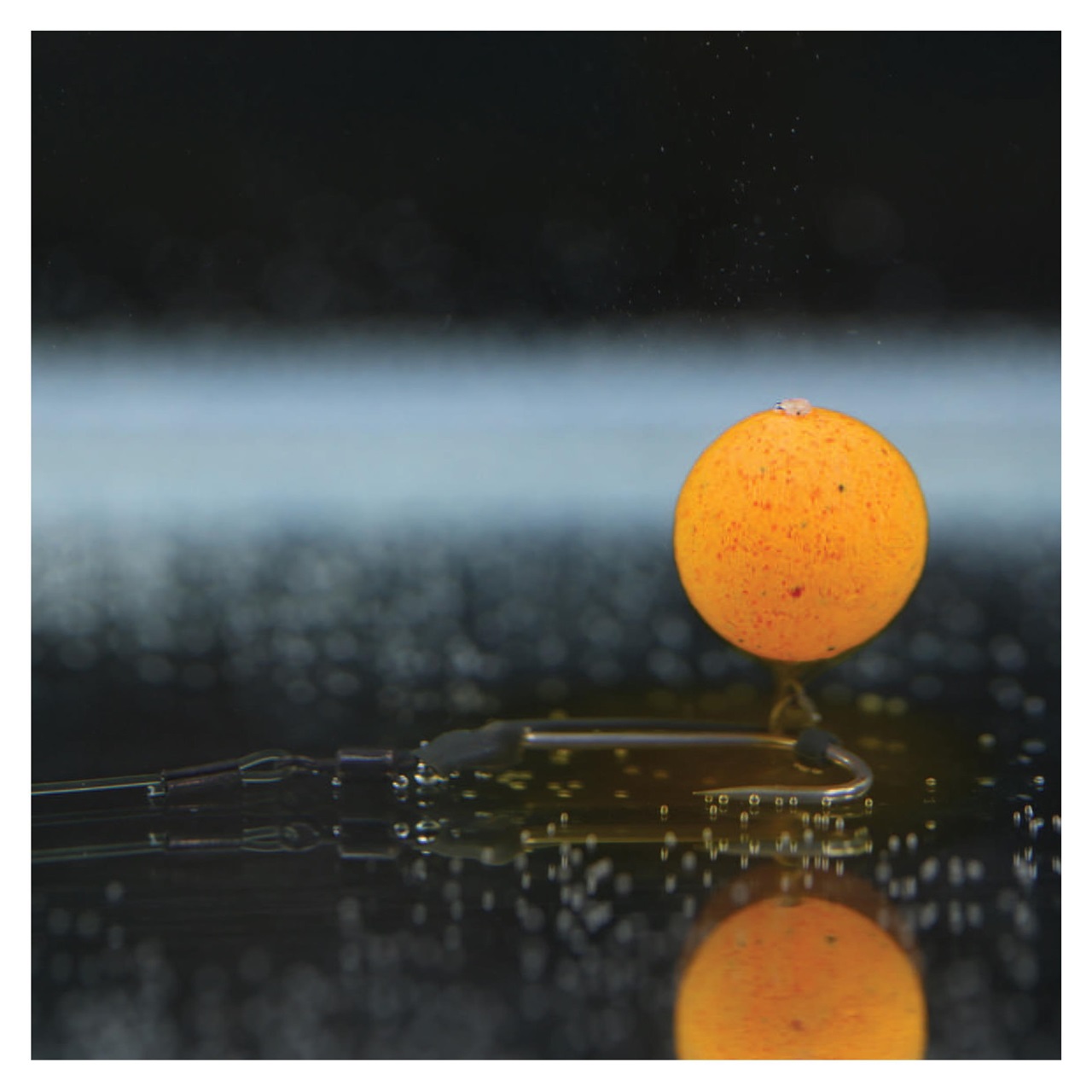 CARPology Magazine Preview Pages