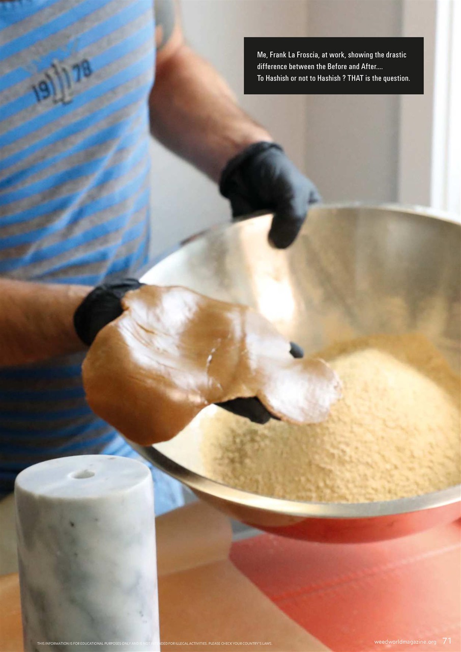 Weed World Preview Pages