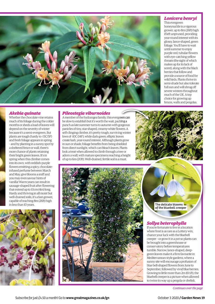 Garden News Preview Pages