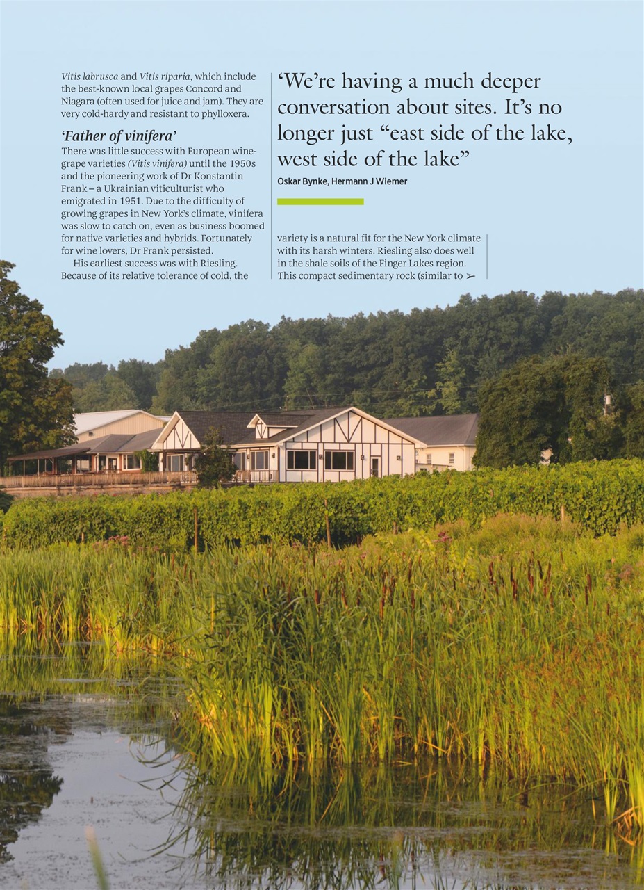 Decanter Preview Pages