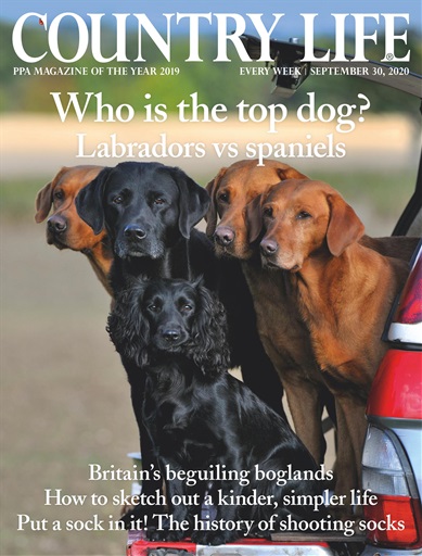 Country Life issue 