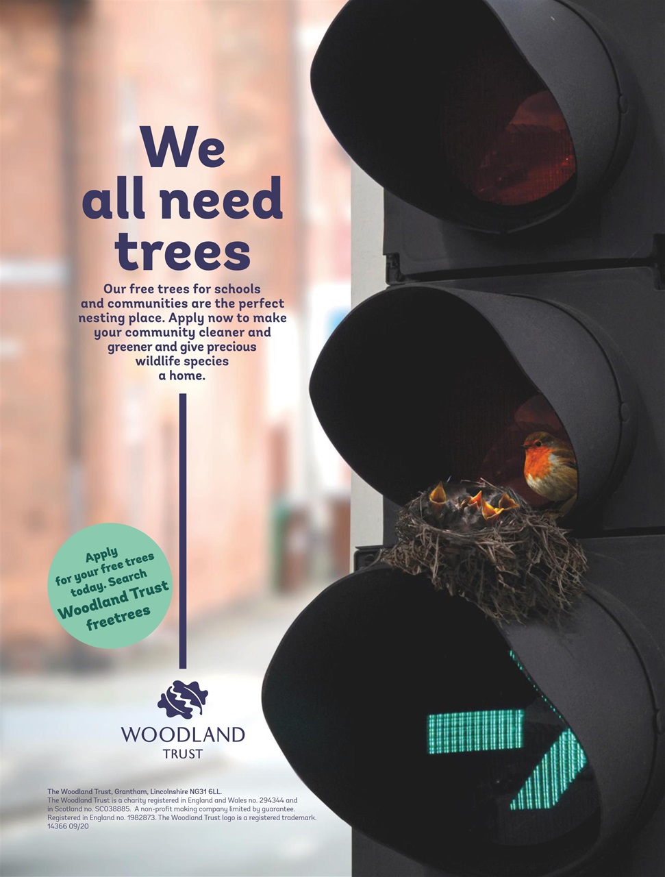 Country Life Preview Pages