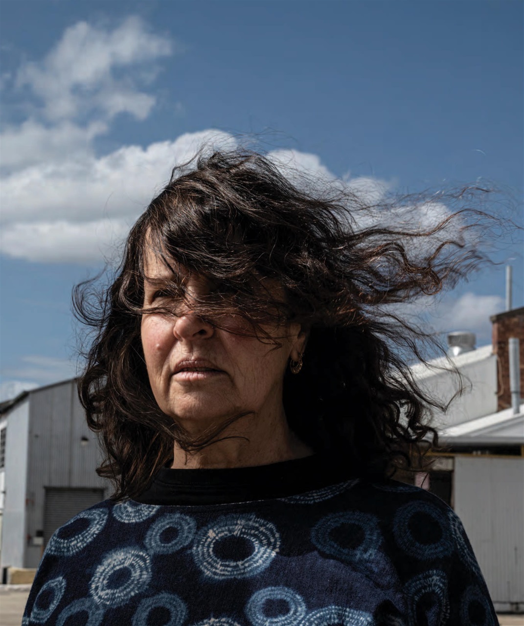 Art Collector Preview Pages