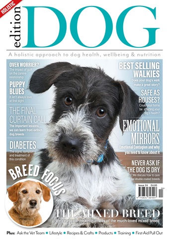 Edition Dog issue Issue 23