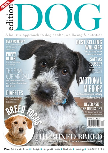 Edition Dog issue 