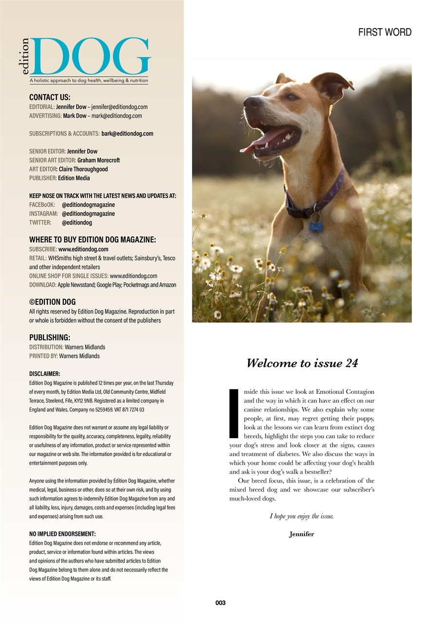 Edition Dog Preview Pages