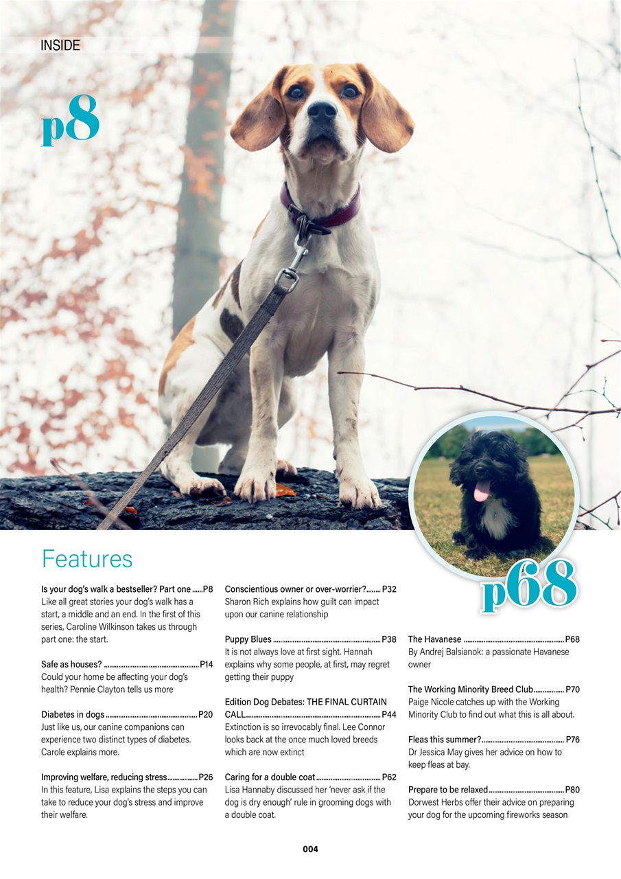 Edition Dog Preview Pages