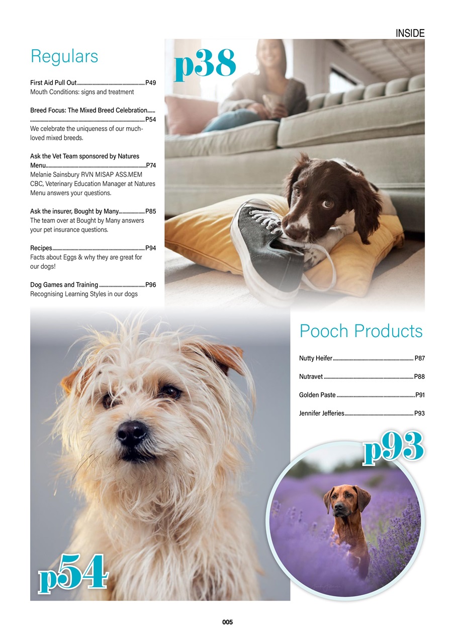 Edition Dog Preview Pages