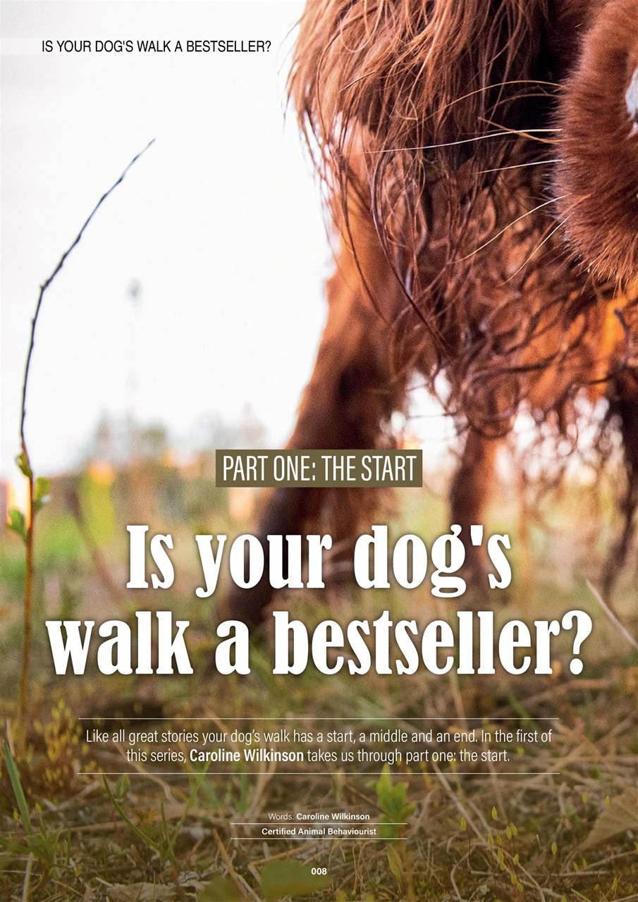 Edition Dog Preview Pages