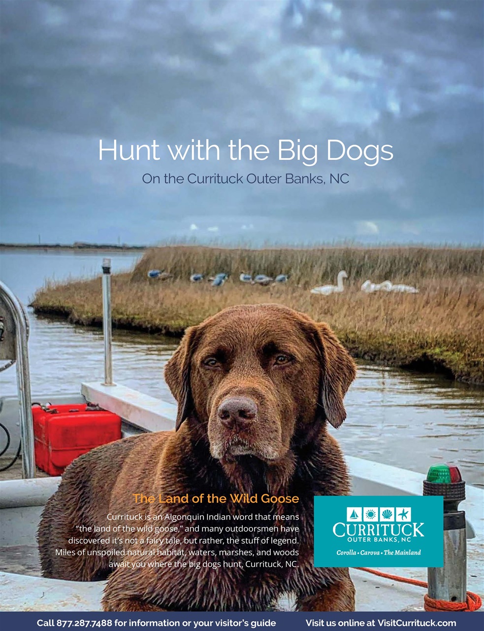 American Waterfowler Preview Pages