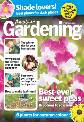 Amateur Gardening issue 10-Oct-2020