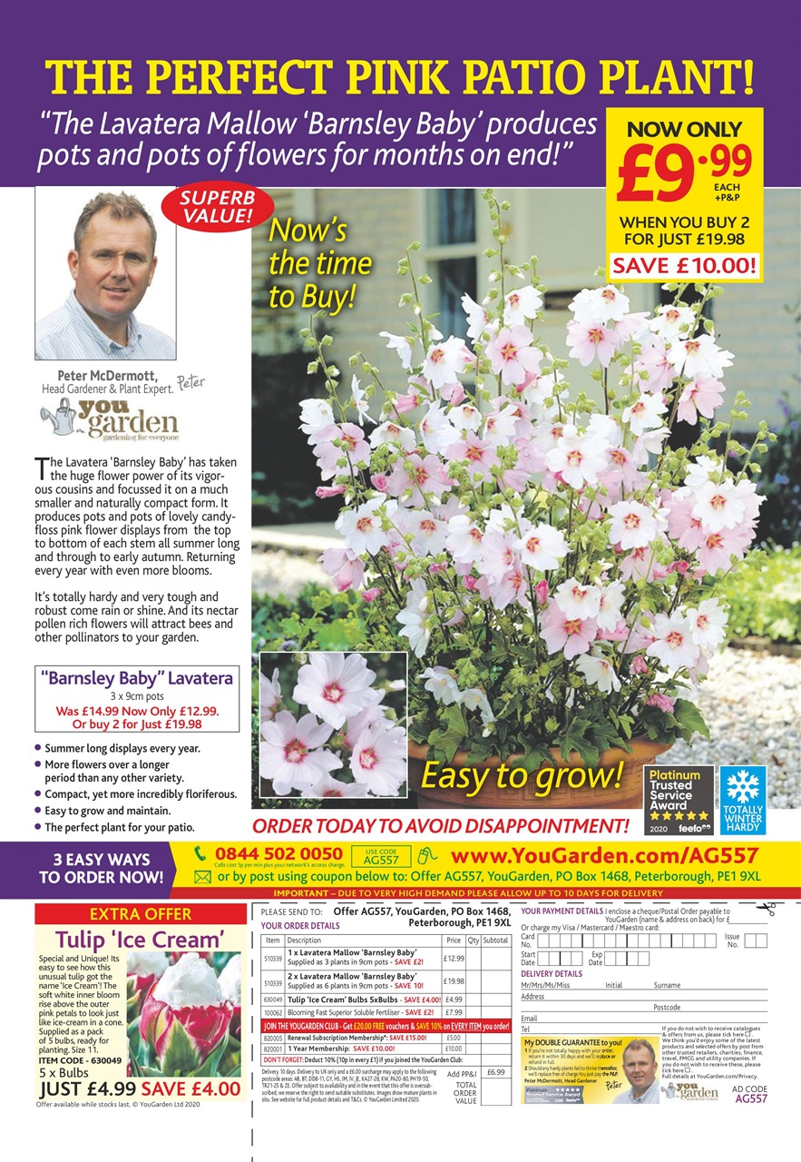 Amateur Gardening Preview Pages