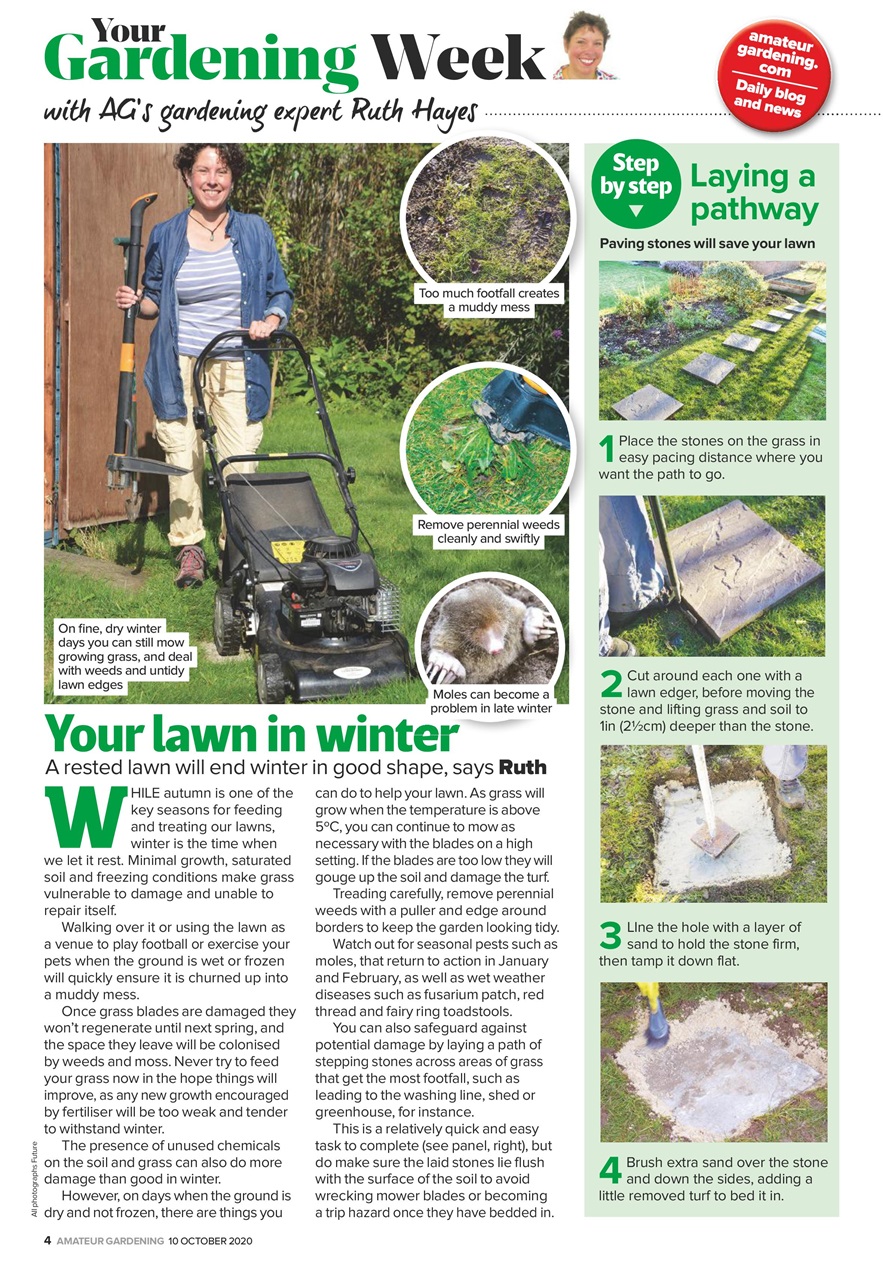 Amateur Gardening Preview Pages