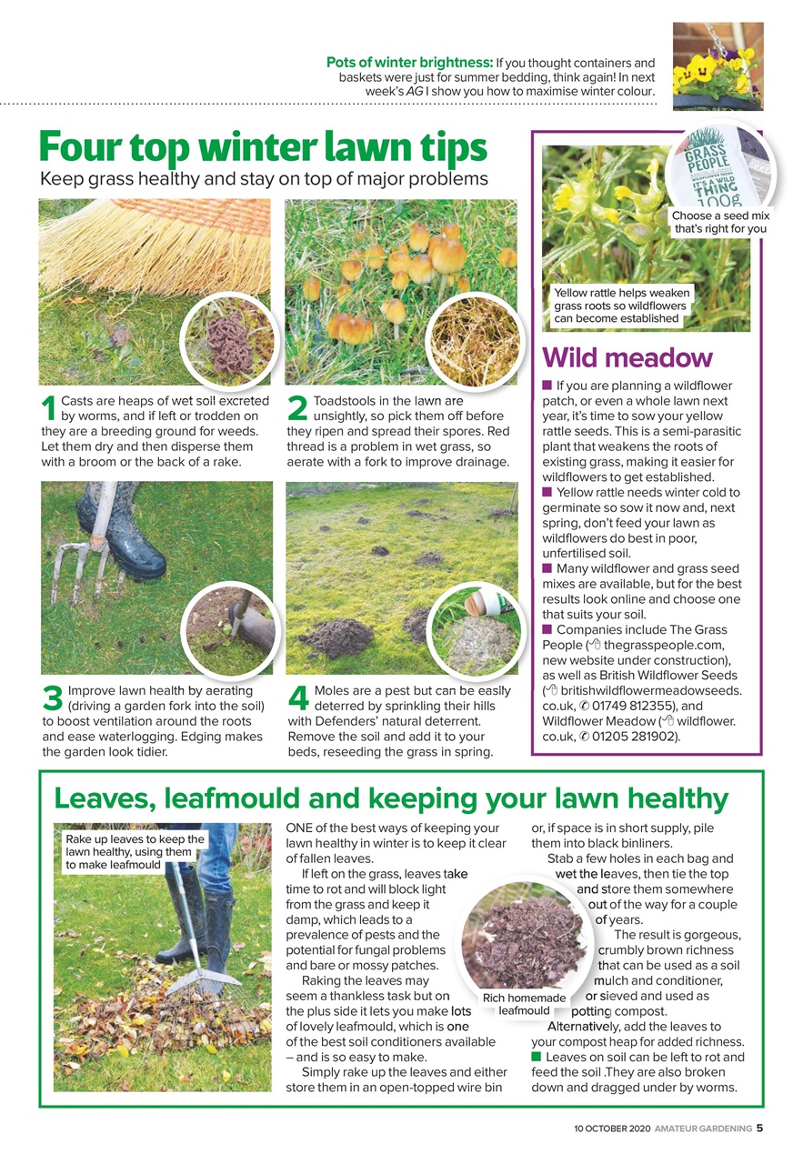 Amateur Gardening Preview Pages