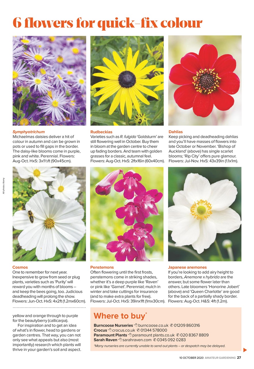Amateur Gardening Preview Pages