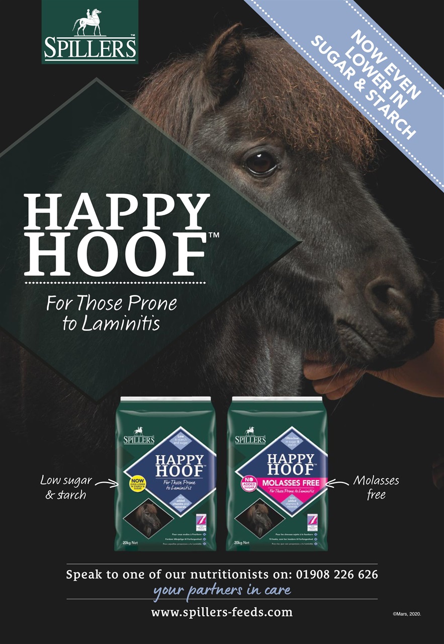 Horse & Hound Preview Pages