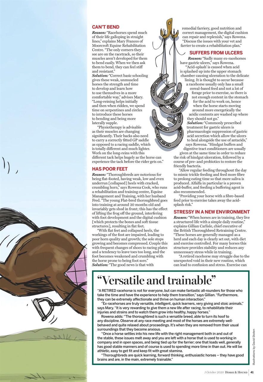 Horse & Hound Preview Pages