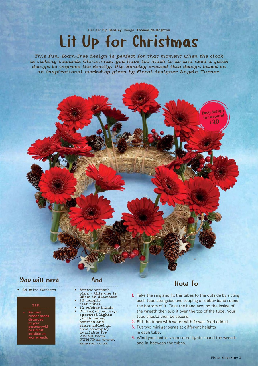 Flora International Preview Pages