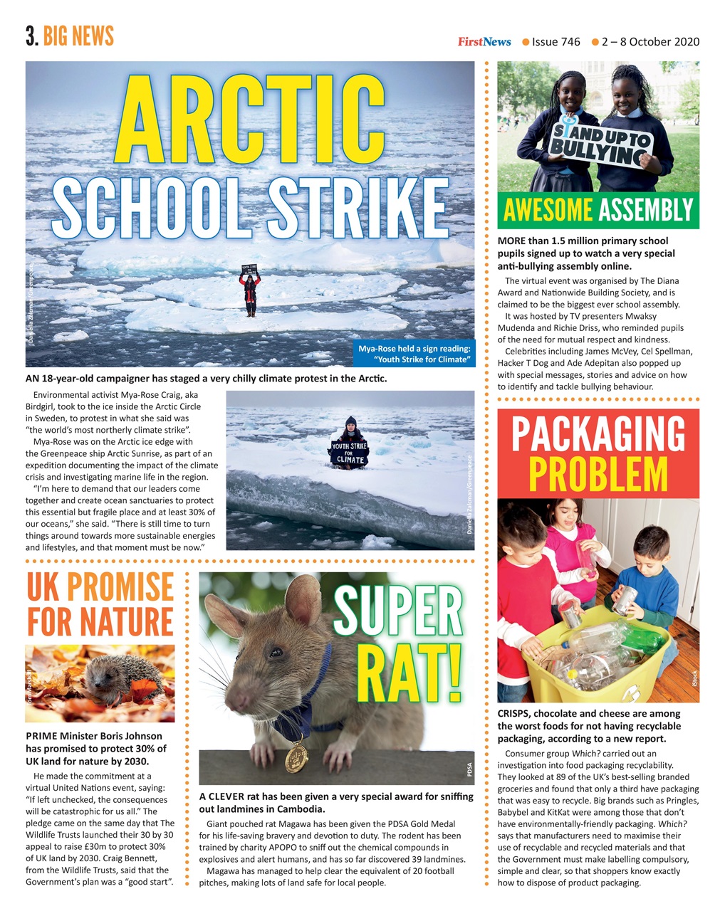 First News Preview Pages