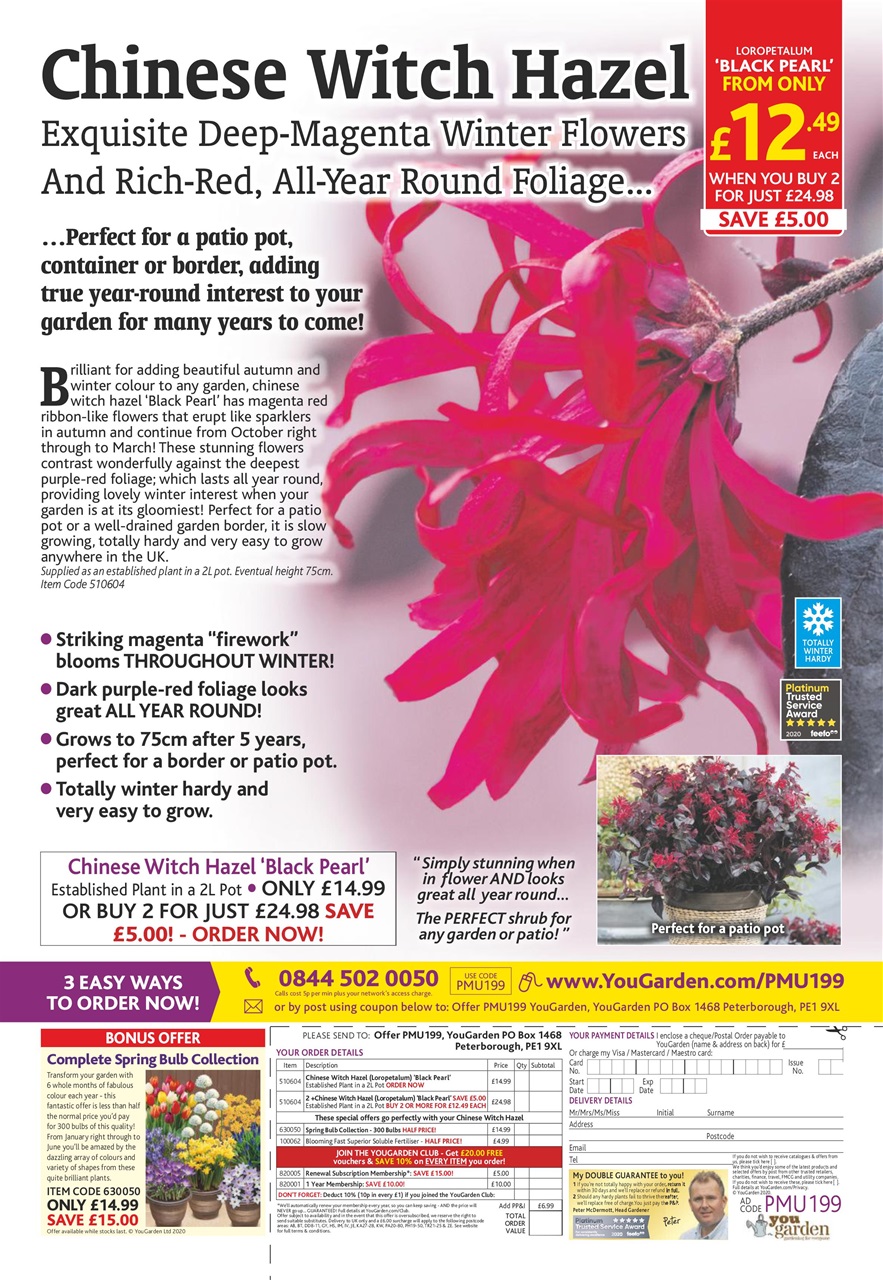 Pick Me Up Preview Pages