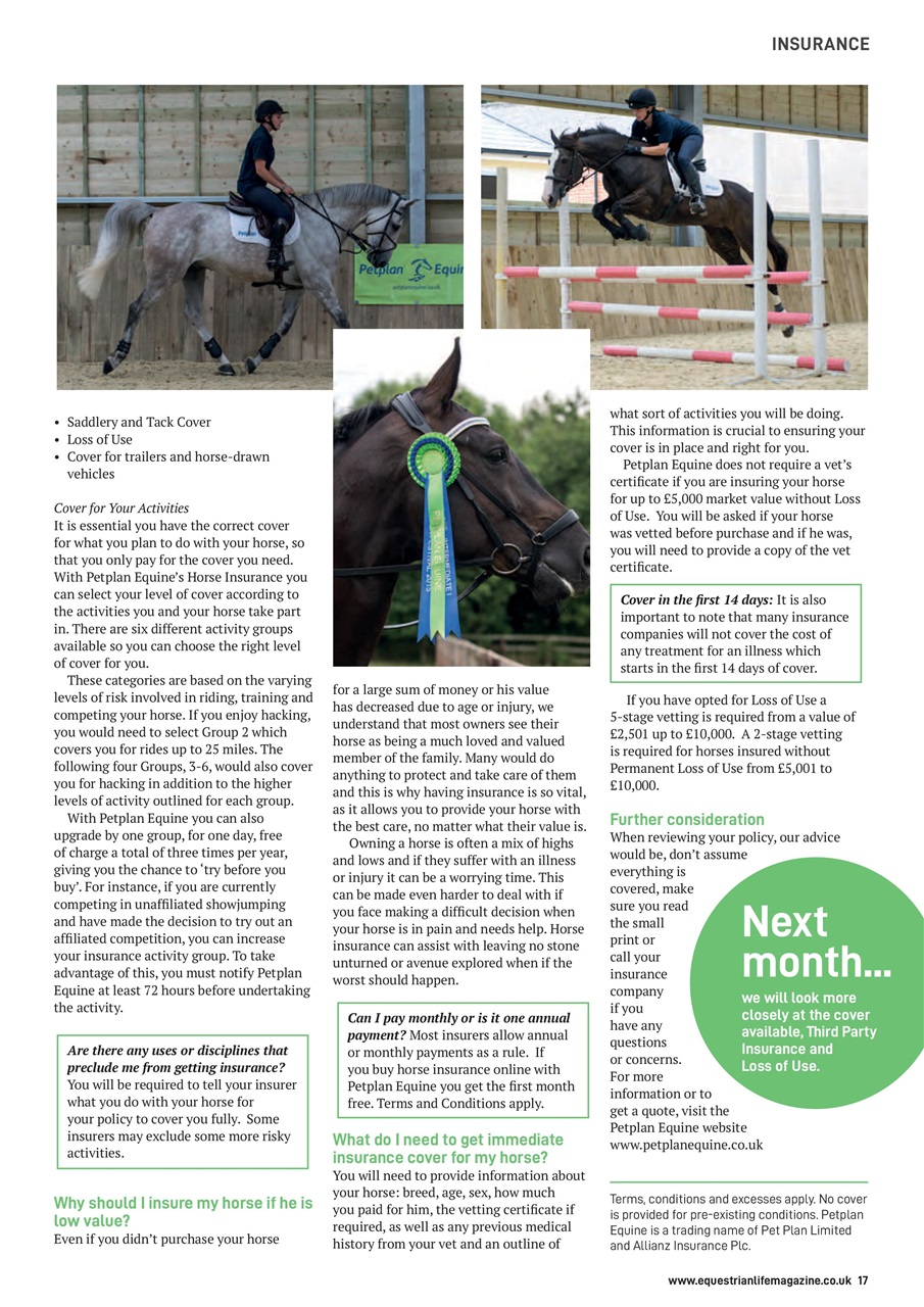 Equestrian Life Magazine Preview Pages