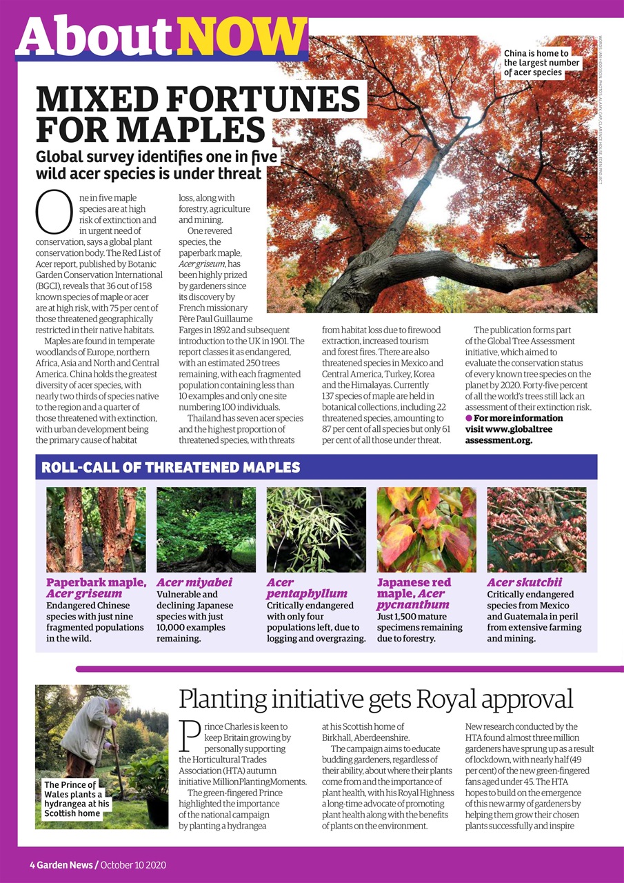 Garden News Preview Pages