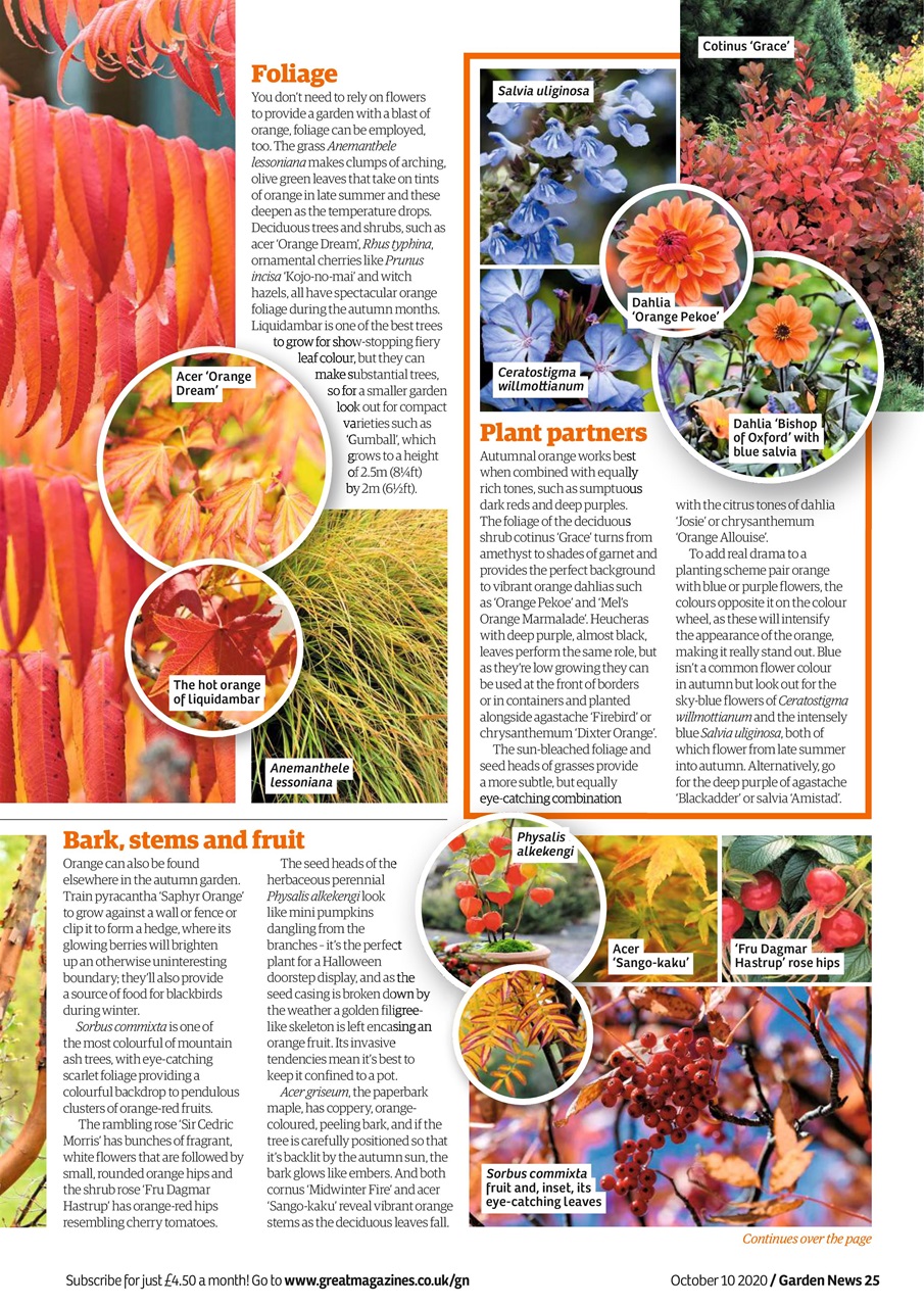 Garden News Preview Pages
