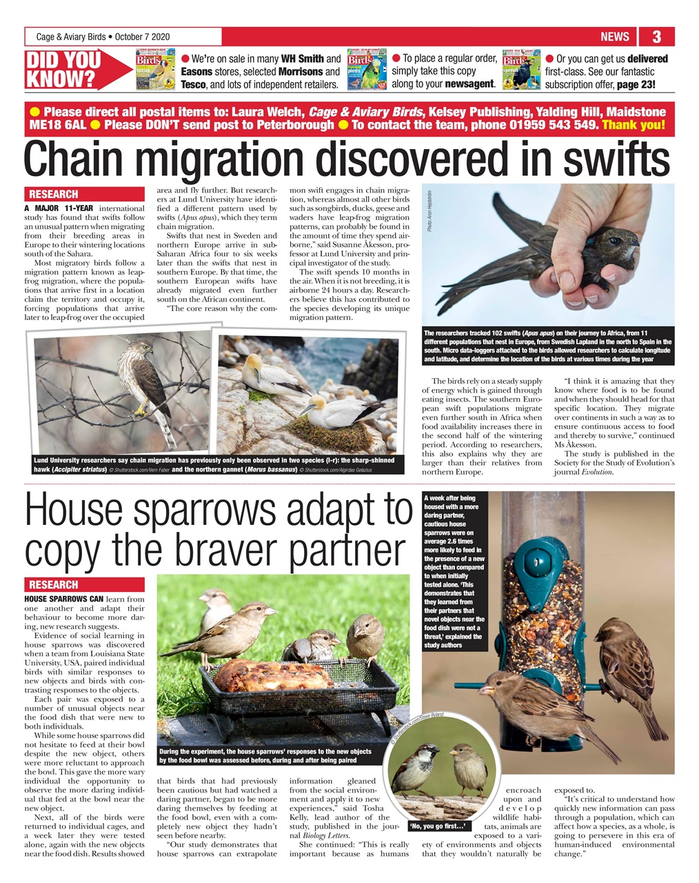 Cage & Aviary Birds Preview Pages