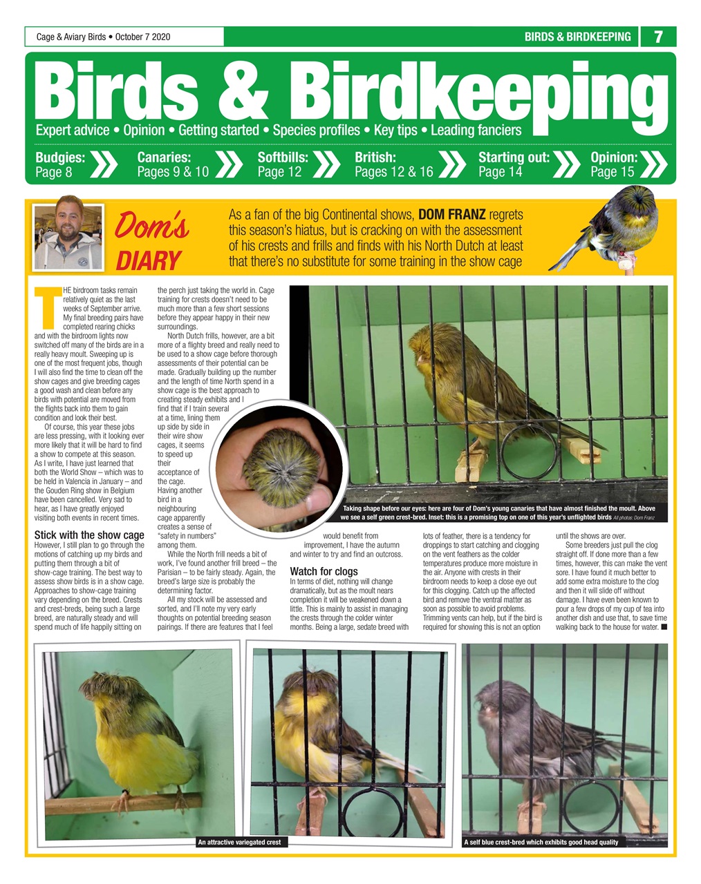 Cage & Aviary Birds Preview Pages