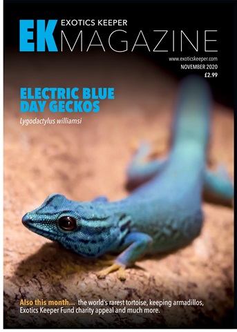 Exotics Keeper issue November 2020