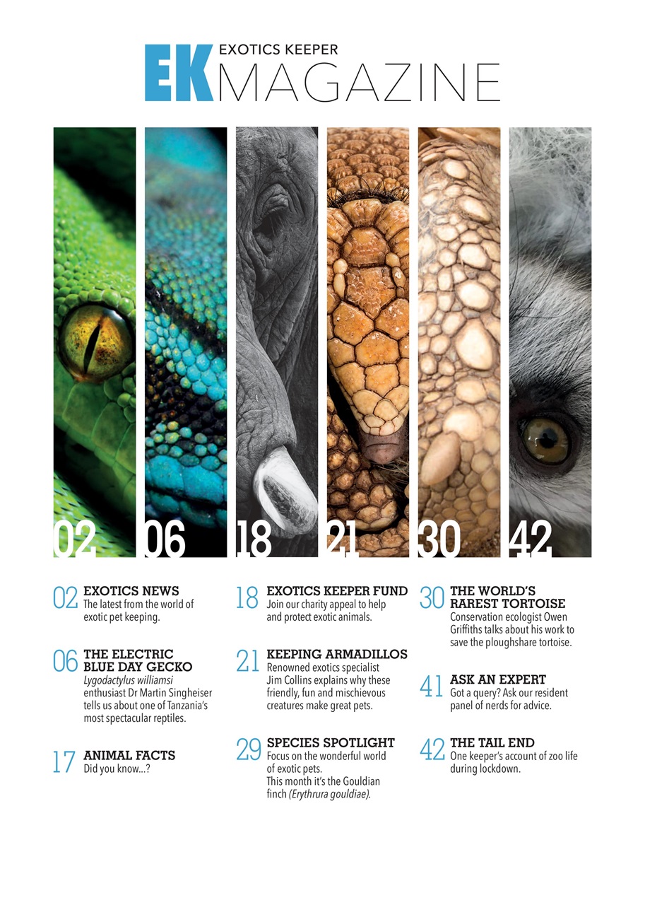 Exotics Keeper Preview Pages