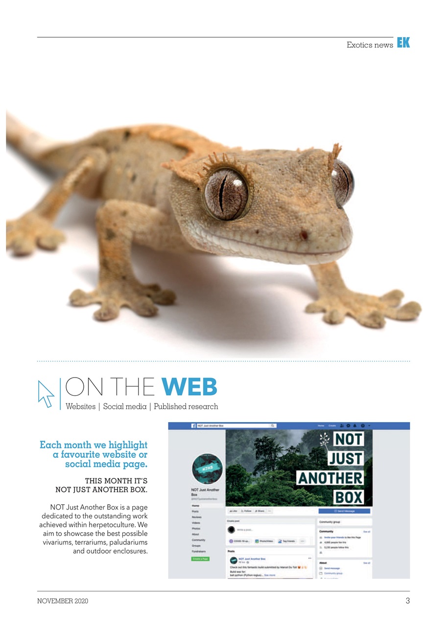 Exotics Keeper Preview Pages