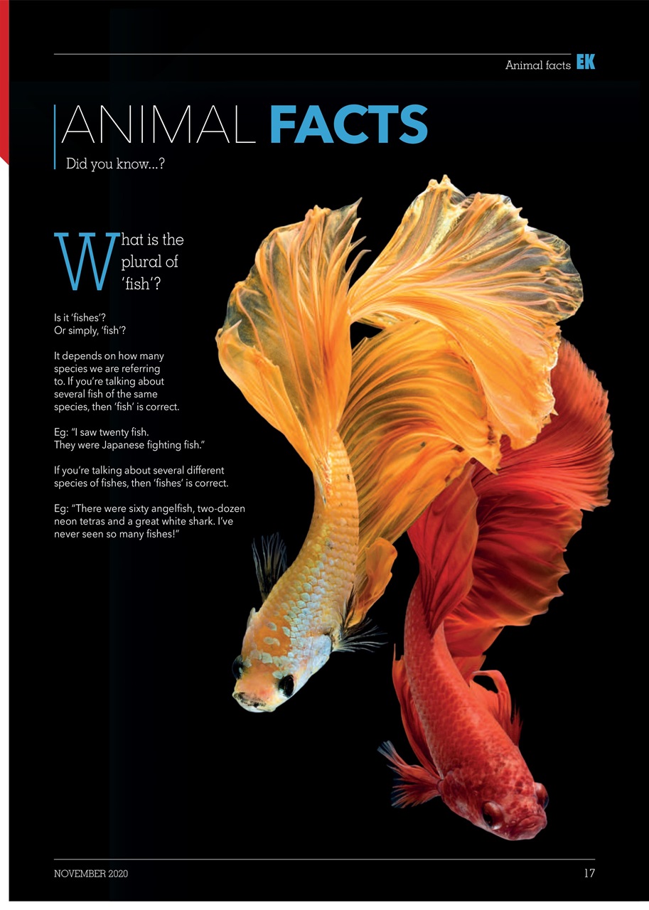 Exotics Keeper Preview Pages