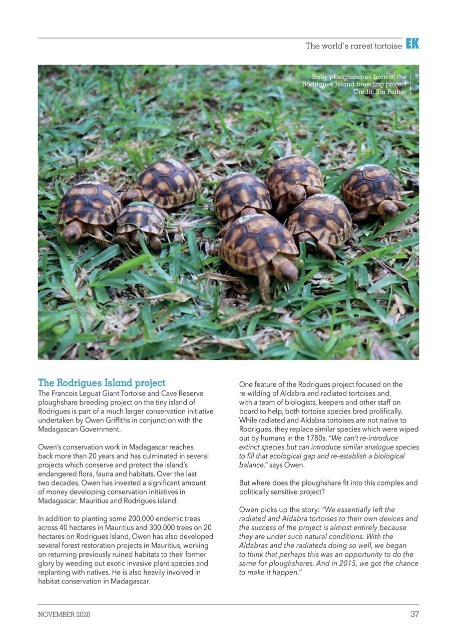 Exotics Keeper Preview Pages