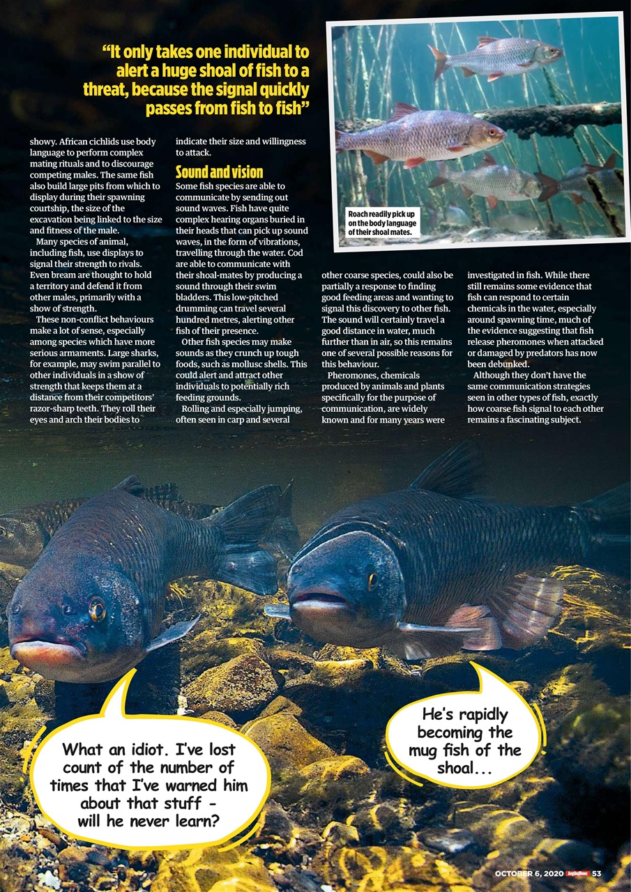Angling Times Preview Pages