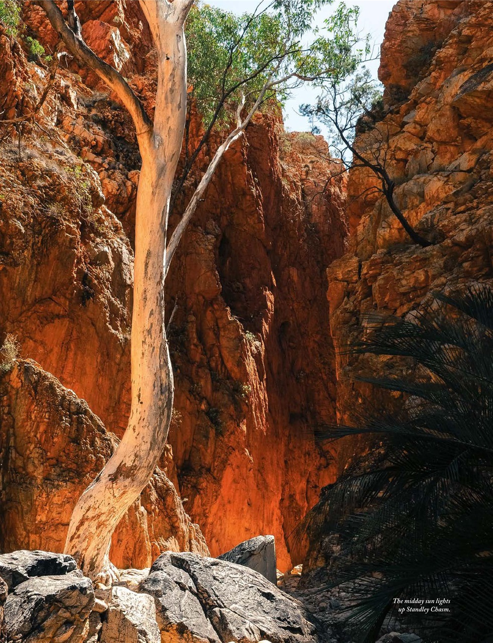 OUTBACK Magazine Preview Pages