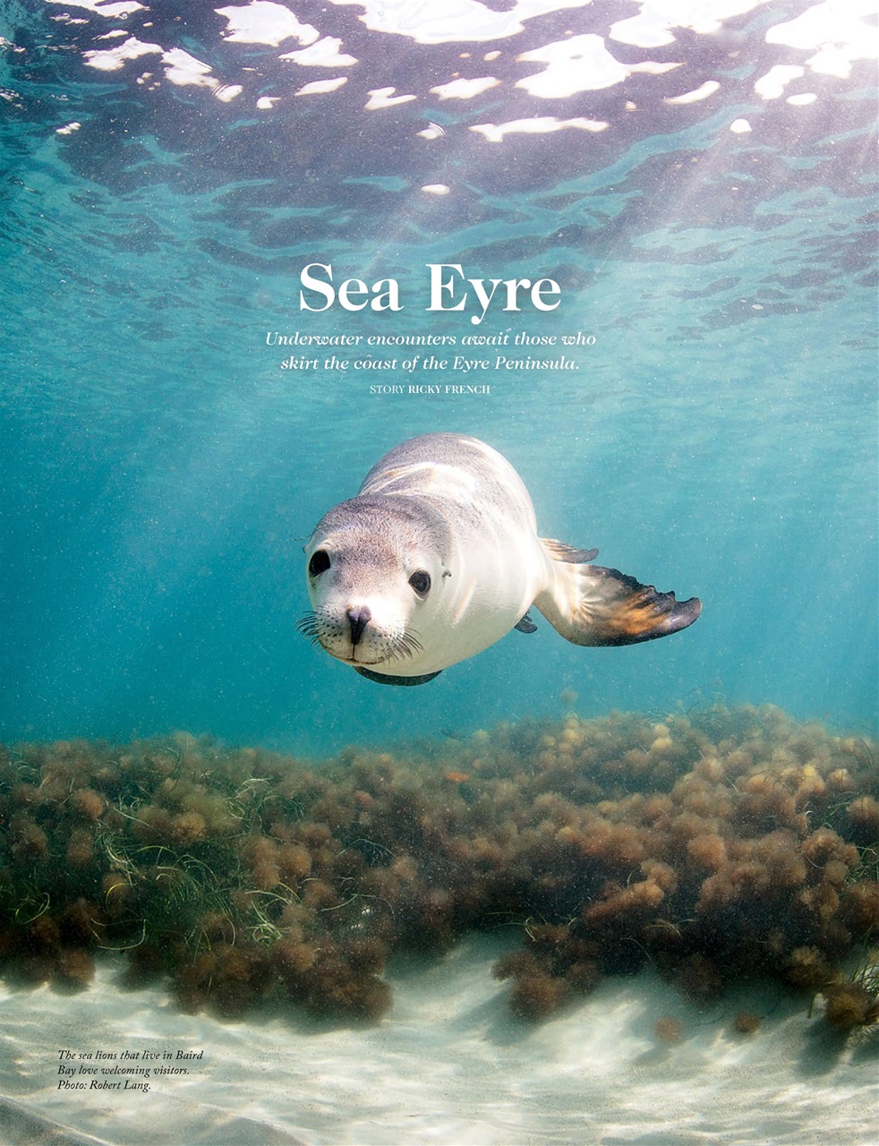 OUTBACK Magazine Preview Pages