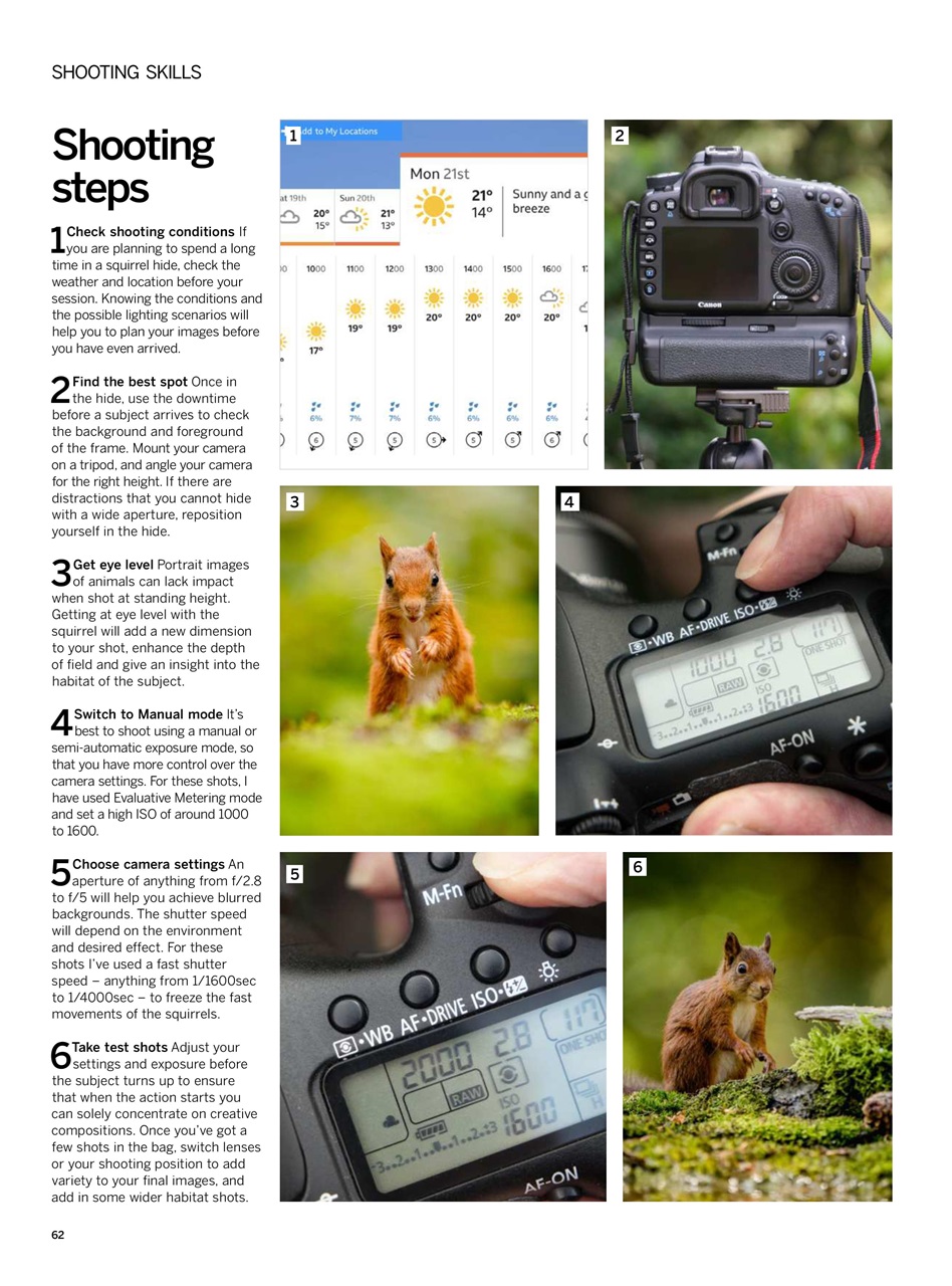 Digital Photographer Preview Pages