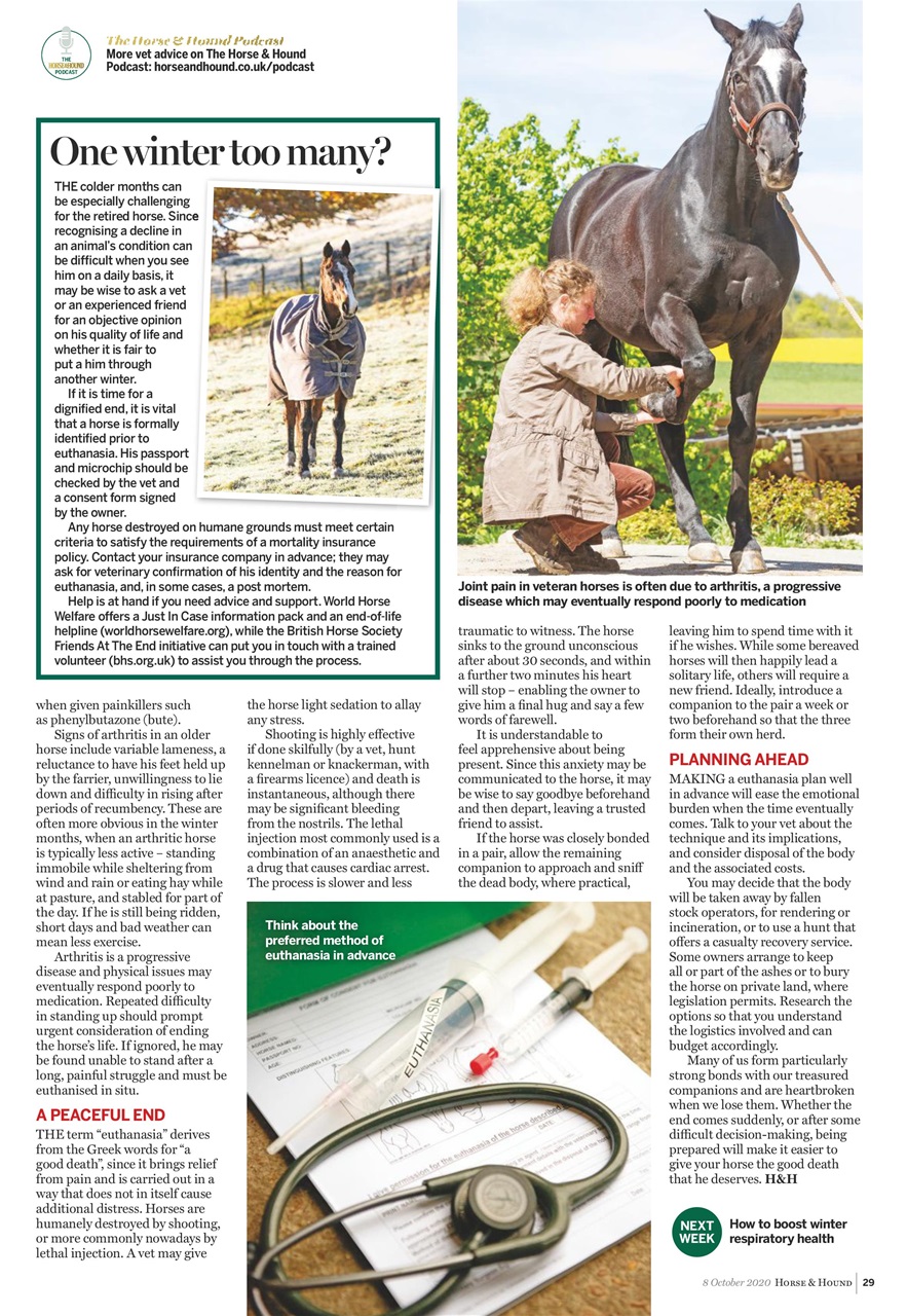 Horse & Hound Preview Pages