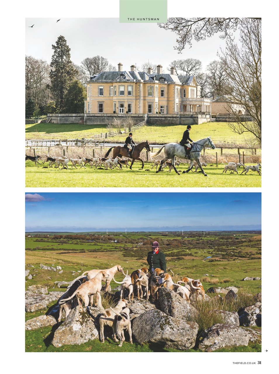 The Field Preview Pages