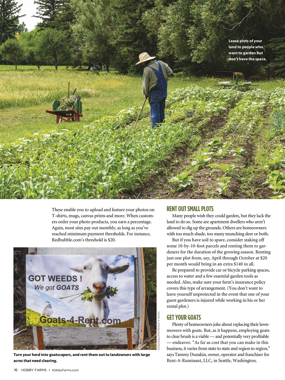 Hobby Farms Magazine Preview Pages
