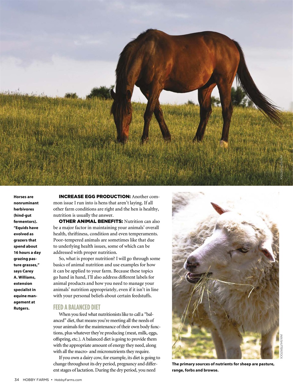 Hobby Farms Magazine Preview Pages